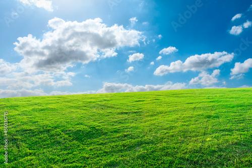 Landscape of grass and sky in the park in spring, Asia,