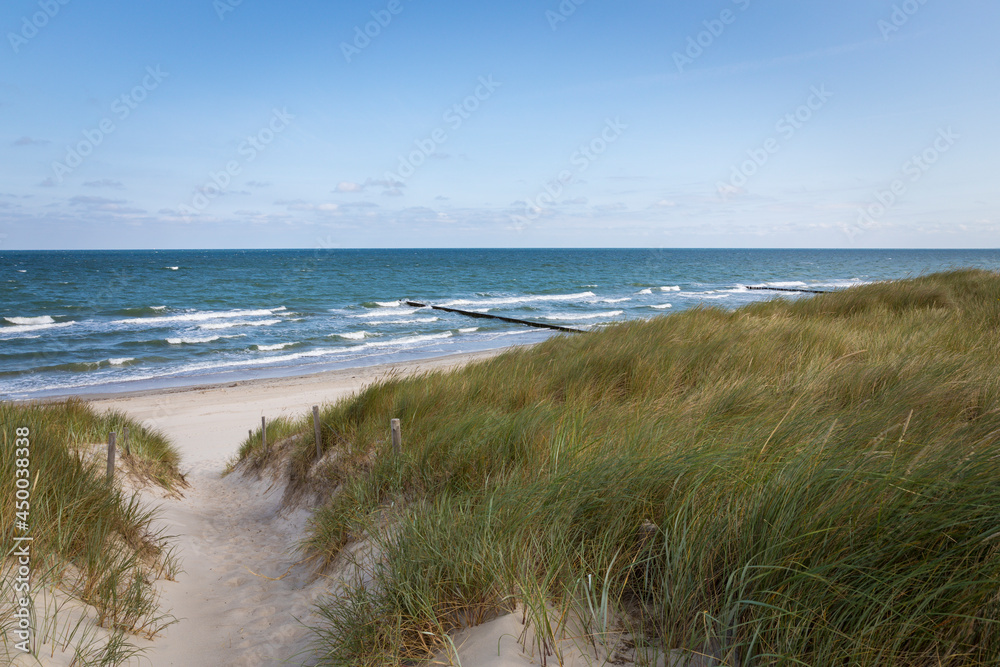 Dunes and empty beach at the Baltic Sea coast of Fischland, Mecklenburg-Vorpommern, Germany
