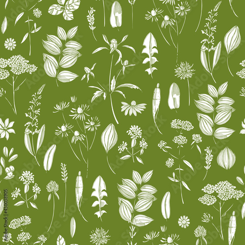 Medicinal herbs. Vector  pattern