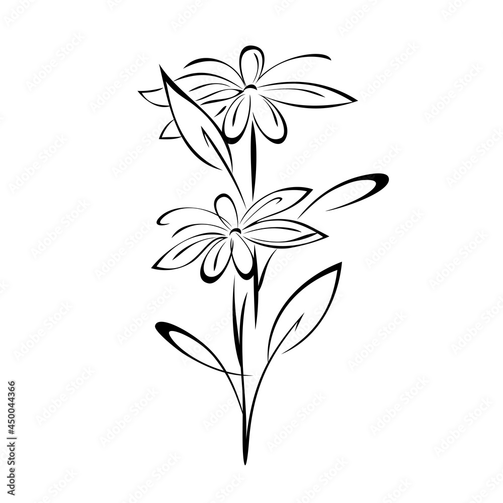 ornament 1913. two blooming stylized flowers on a stem with leaves and curls in black lines on a white background