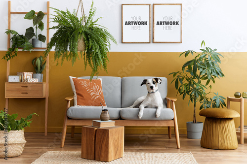 Stylish interior of living room with design furniture, gold pouf, plant, mock up poster frames, carpet, accessoreis and beautiful dog lying on the sofa in cozy home decor. Template. photo