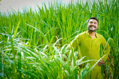 Indian farmer feeling happy and proud in sugarcane field