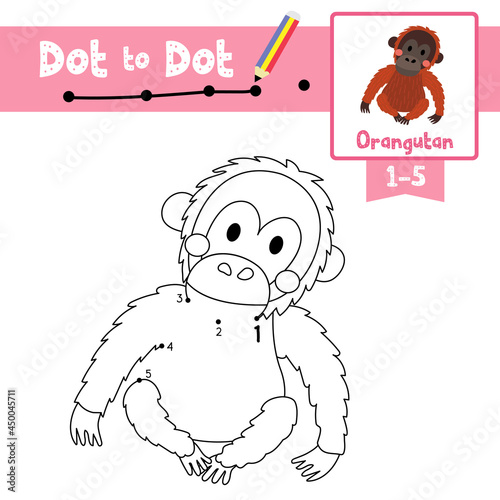 Dot to dot educational game and Coloring book Sitting Orangutan animal cartoon character vector illustration