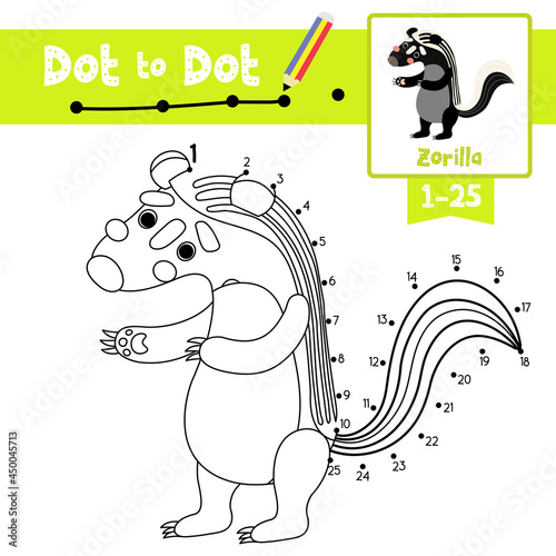 Dot to dot educational game and Coloring book Zorilla animal cartoon character vector illustration