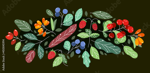 Wild berries fresh and ripe tasty healthy food with leaves vector flat style illustration over dark background, delicious vegetation diet eating, nature gifts.