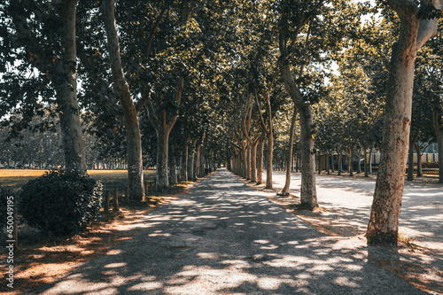 Park path during day light