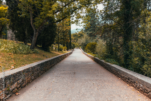 Park path during day light