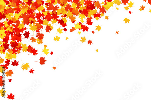 Scattering autumn maple leaves on white background. Vector