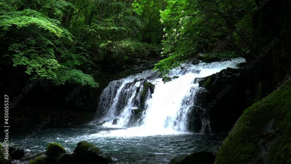 夏の蓼科大滝 夏の蓼科大滝