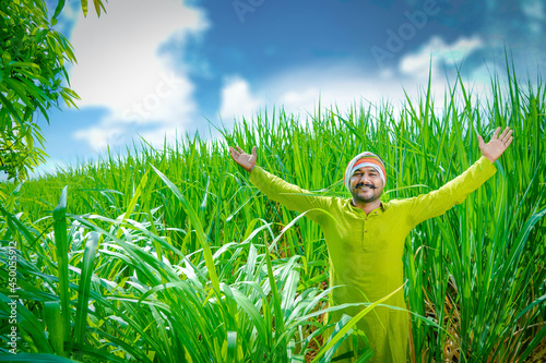 Young Indian farmer spreading his hands in the sugarcane field (4)