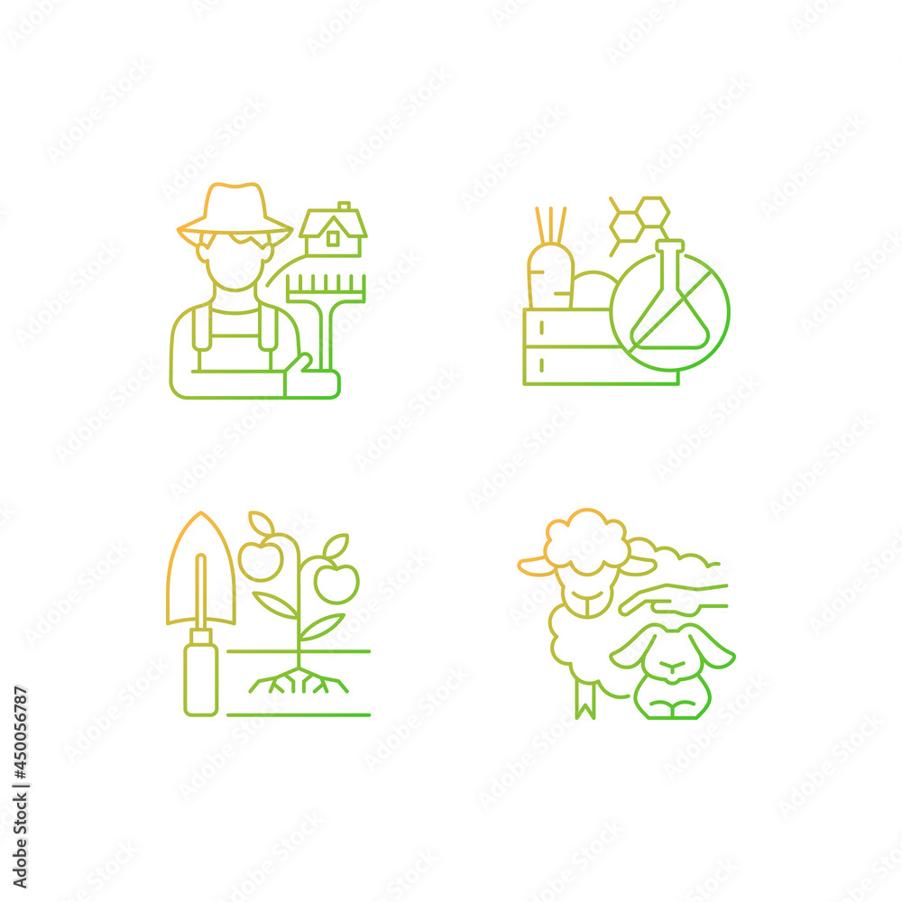 Work on farm gradient linear vector icons set. Chemical free goods production. Rural labor. Petting zoo. Thin line contour symbols bundle. Isolated vector outline illustrations collection Work on farm gradient linear vector icons set. Chemical free goods production. Rural labor. Petting zoo. Thin line contour symbols bundle. Isolated vector outline illustrations collection