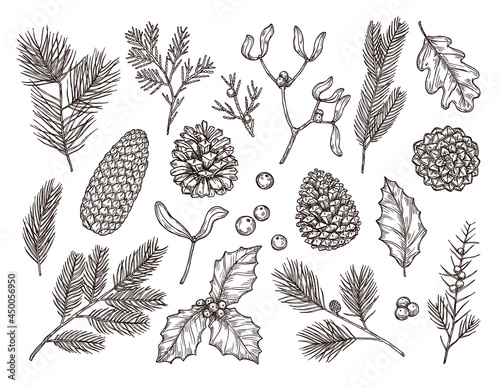 Sketch forest elements. Hand drawn set.