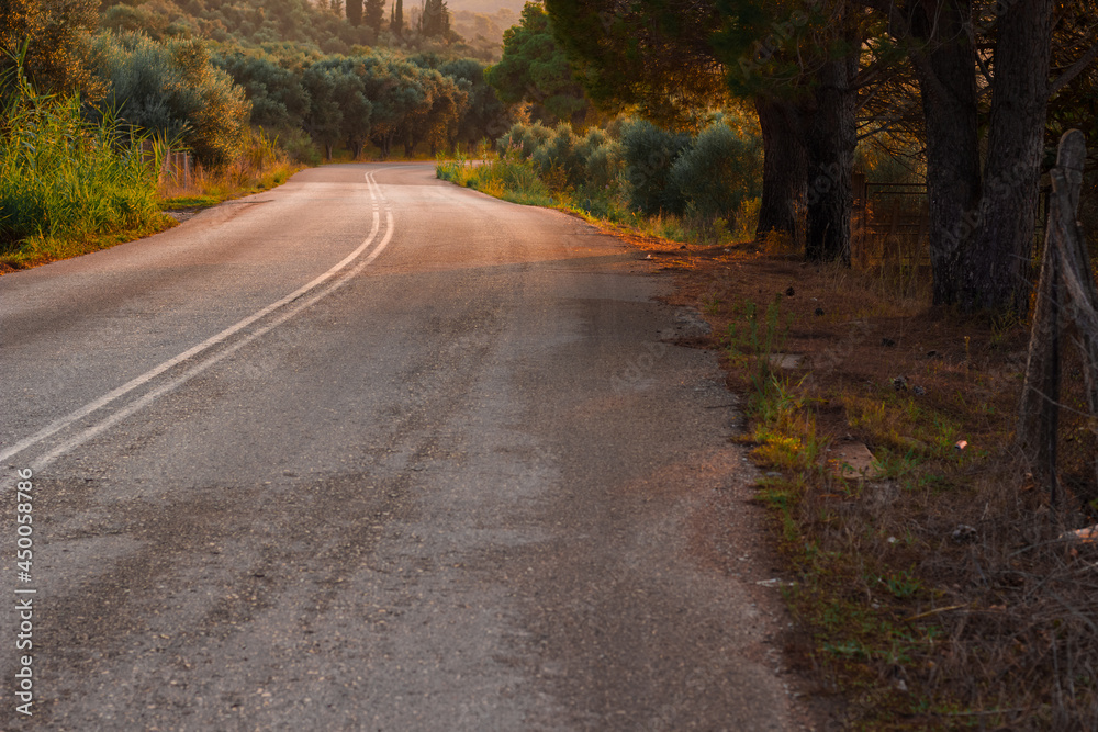 Fototapeta premium autumn country side road park outdoor landscape photography in orange colors light from sunset