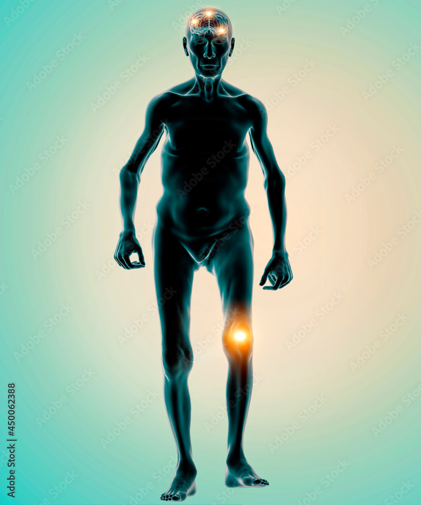 Motor functions. Knee pain. How the brain controls the movements of the