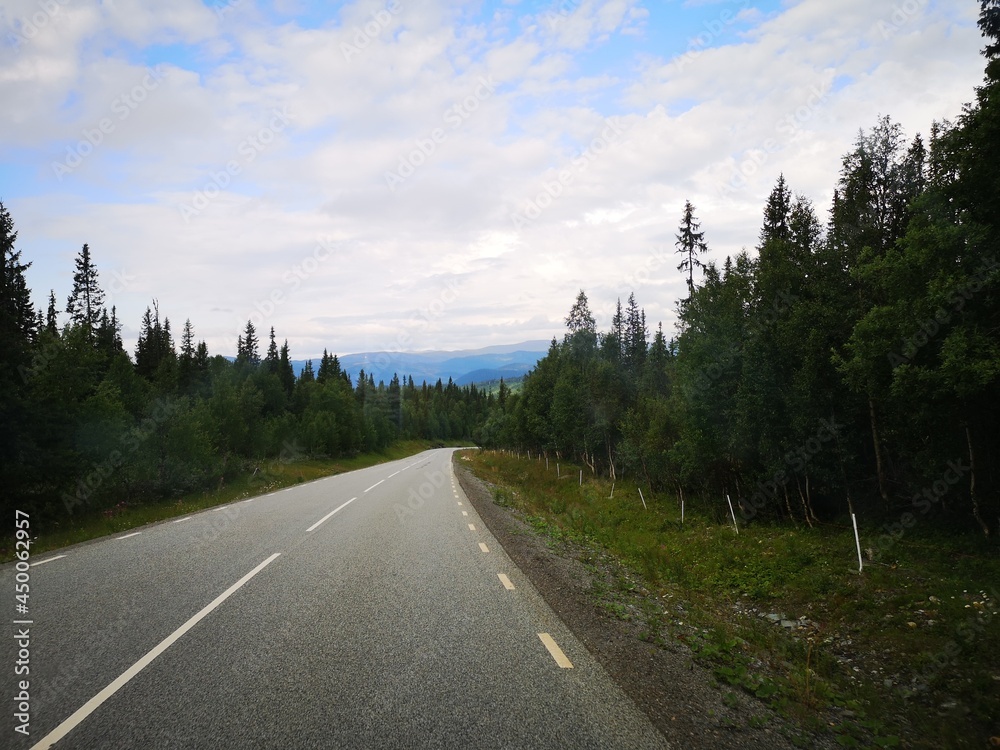 Fototapeta premium road in the mountains
