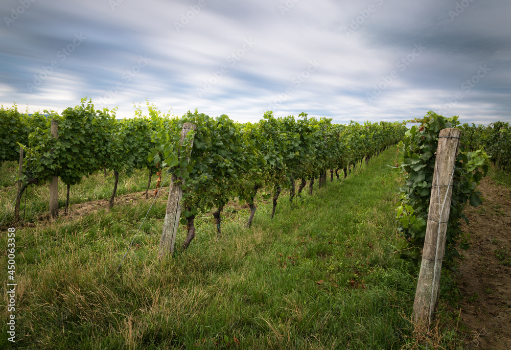 Dark clouds long exposure at a vineyard in burgenland