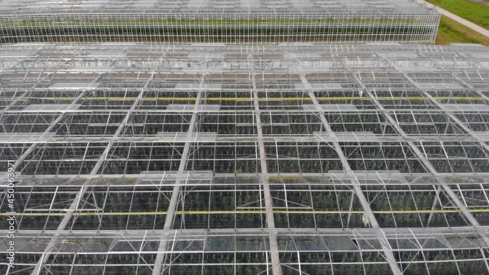 Aerial View Flying Over Large Greenhouse With Vegetables, Greenhouse With Transparent Glass Roof. Modern High-tech Greenhouse View From Above. Aerial View Large Industrial Technology Greenhouses. Aerial View Flying Over Large Greenhouse With Vegetables, Greenhouse With Transparent Glass Roof. Modern High-tech Greenhouse View From Above. Aerial View Large Industrial Technology Greenhouses.