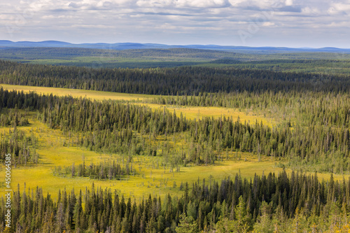 View of nordic landscape in summer with boreal forest in Riisitunturi Nationalpark, Lapland, Finland