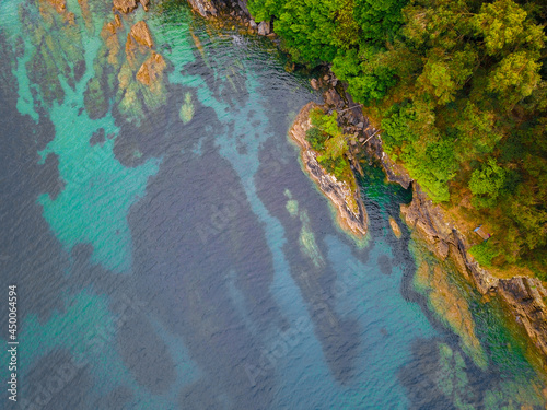 Aerial drone vertical view of a forest meeting the turquoise water of the sea.
