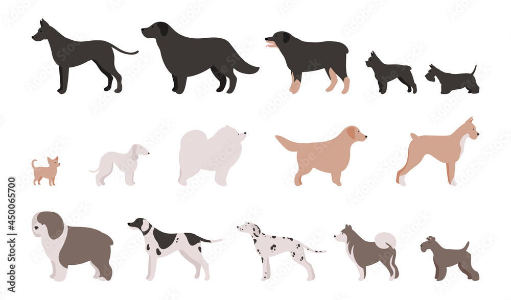 Set of Isolated vector illustrations of different dog breeds