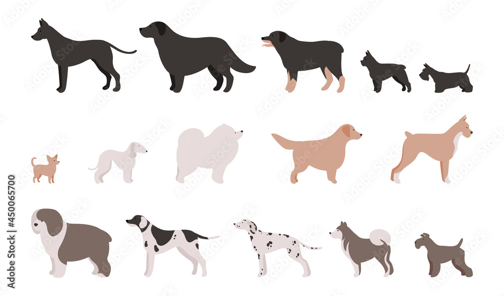 Set of Isolated vector illustrations of different dog breeds Set of Isolated vector illustrations of different dog breeds