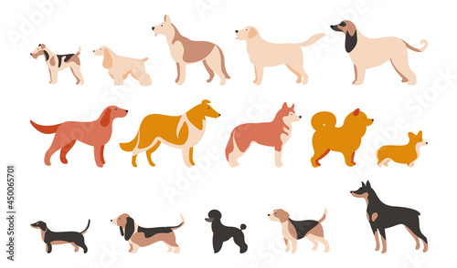 Set of Isolated vector illustrations of different dog breeds