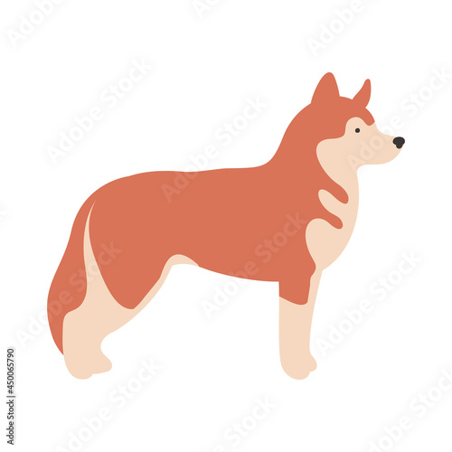 Isolated vector illustration of a Husky dog