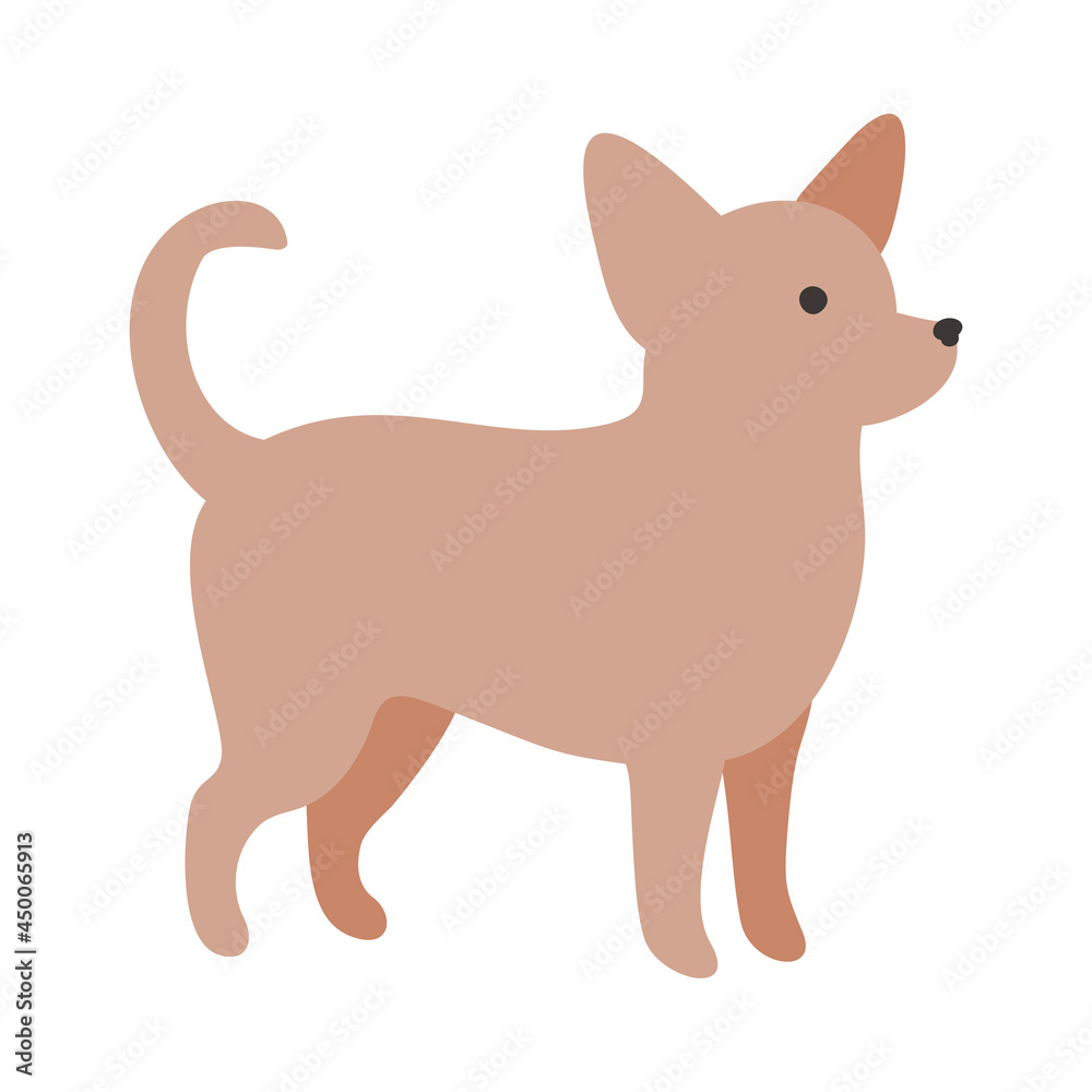 Isolated vector illustration of a Chihuahua dog