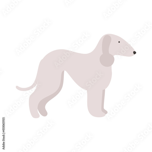 Isolated vector illustration of a Bedlington terrier dog