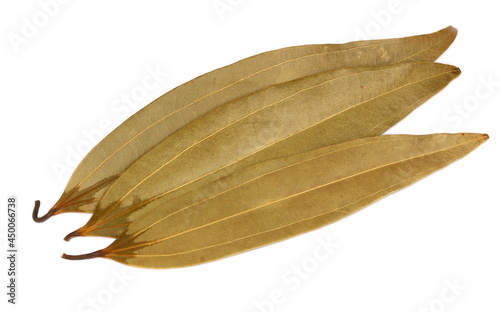 Spices bay leaves isolated on white background.