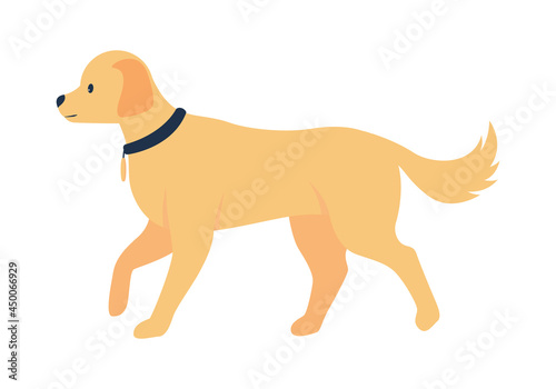 Golden retriever adoption semi flat color vector character. Full body animal on white. Choosing family companion isolated modern cartoon style illustration for graphic design and animation