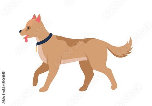 Dog breed for hunting semi flat color vector character. Full body animal on white. Taking pet from animal shelter isolated modern cartoon style illustration for graphic design and animation