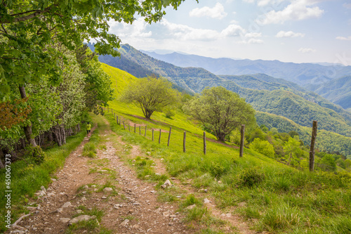 Natural landscape in springtime on Pian della Cavalla mount in Liguria, in the municipality of Fascia, Genoa province, Italy