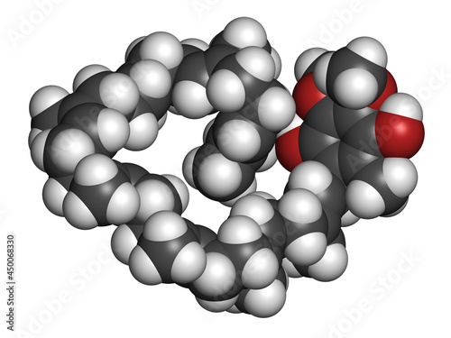 Ubiquinol molecule. Reduced form of coenzyme Q10. 3D rendering. photo
