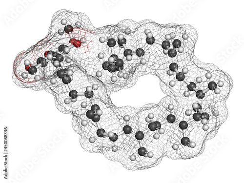 Ubiquinol molecule. Reduced form of coenzyme Q10. 3D rendering. photo