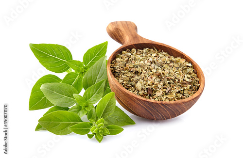 Fresh Basil leaves with dry basil in spoon in closeup on white background