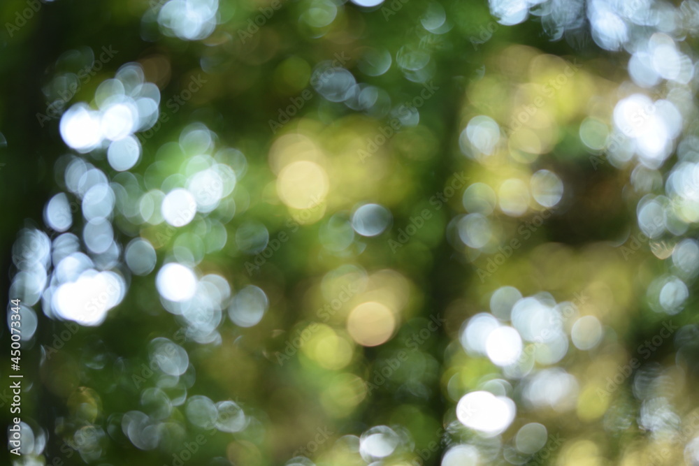 Obraz premium Forest natural green bokeh background, blurred greens and bright, abstract nature background, lights playing in forest.