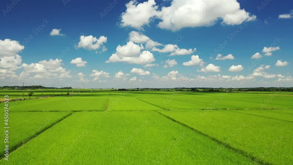 ドローンで撮影した田園風景