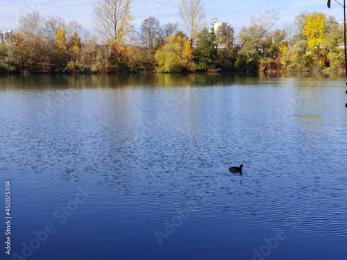 Beautiful lake in autumn