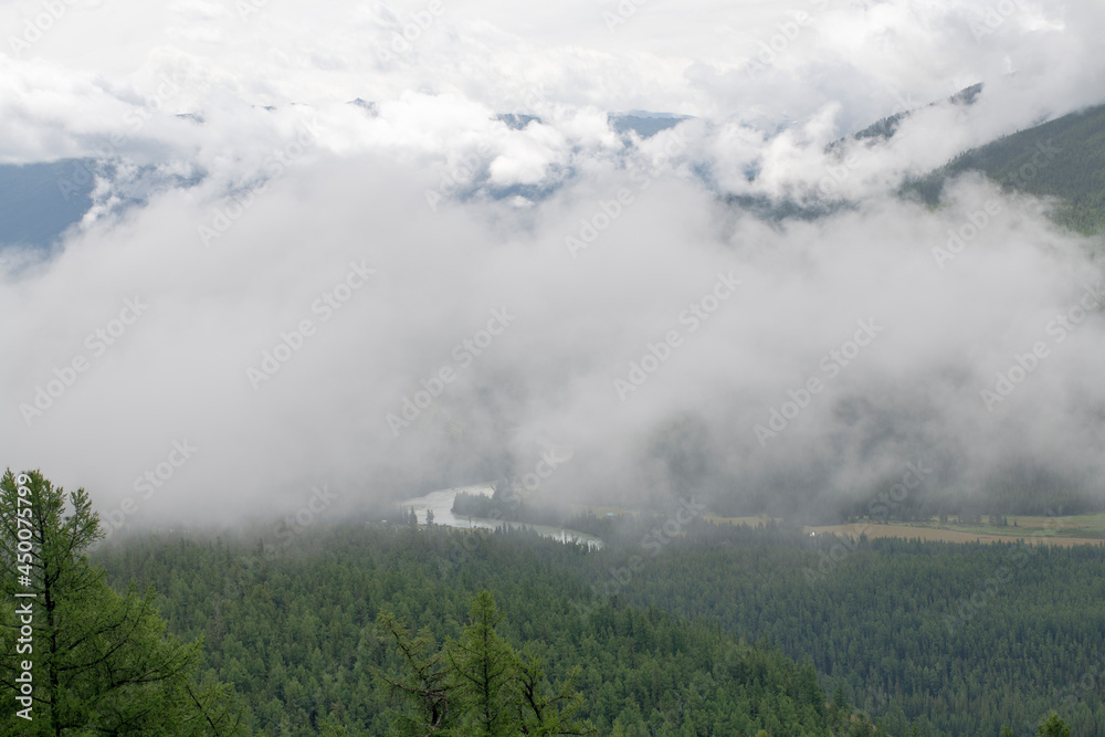 Fototapeta premium fog over mountain's forest