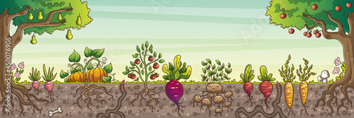 Vegetables and fruits in the garden. Vector illustration in modern cartoon style.  (ID: 450076906)