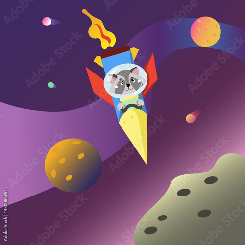 raccoon in space