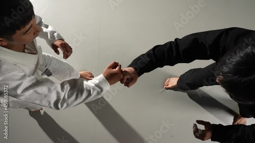 주짓수대결의 승리자