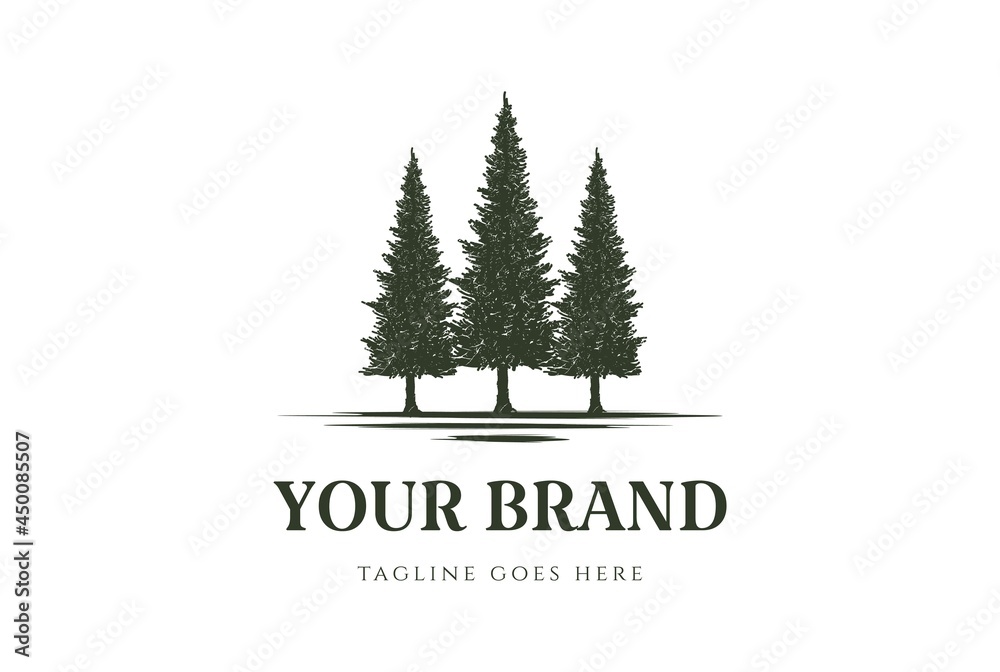 Rustic Pine Evergreen Cedar Cypress Larch Conifer Coniferous Fir Trees Forest Logo Design Vector Rustic Pine Evergreen Cedar Cypress Larch Conifer Coniferous Fir Trees Forest Logo Design Vector