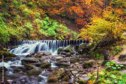 Amazing nature landscape with colored autumn forest and mountain creek, outdo...