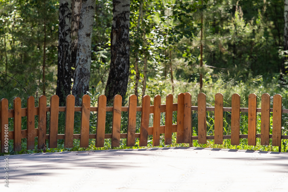 wooden picket fence in a green forest