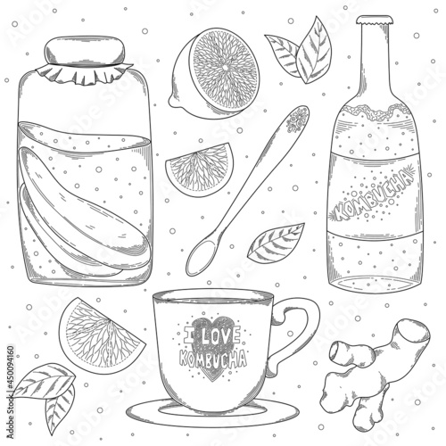 Homemade Organic Kombucha Tea Set isolated on white background. Hand drawn jar, cup, kombucha tea bottle with lemon and ginger line art vector illustration