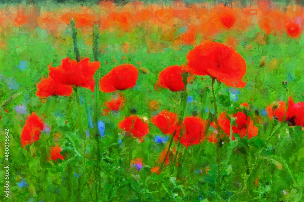 Fototapeta premium Acryl painting of poppy field in summer time
