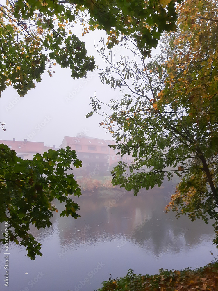 Autumn landscape near the Danube river, Regensburg city, Europe. Walking trough the forest on a foggy day.