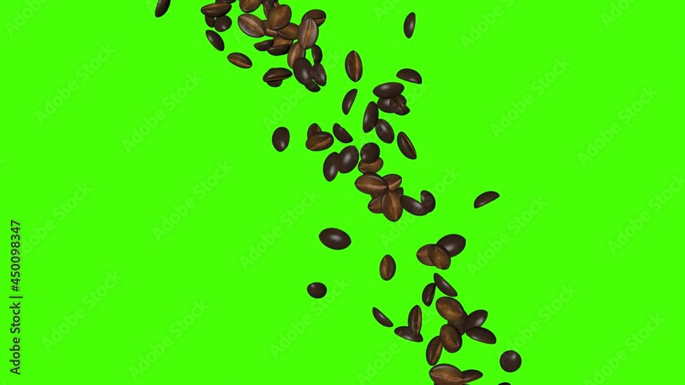 coffee beans falling 3d animation , green screen chroma key coffee beans falling 3d animation , green screen chroma key
